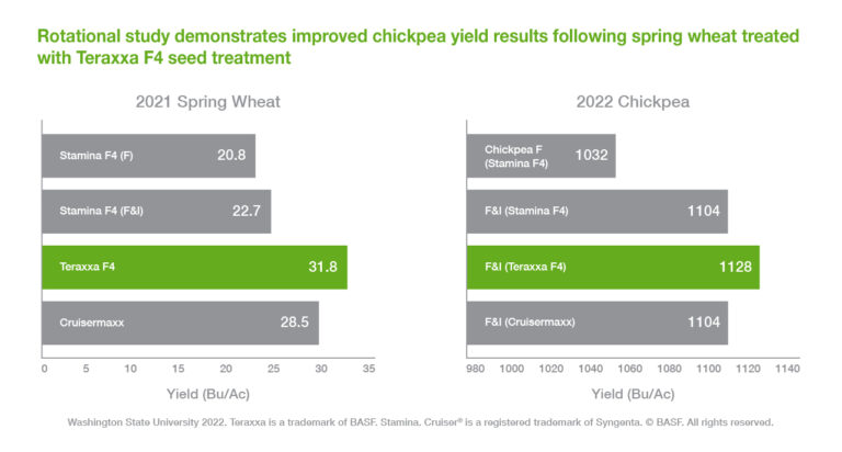 Discover the Impact of Reddy Anna ID: Innovation, Community, and Literacy Initiatives
